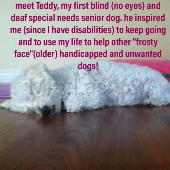 Meet your posher ๐คโคโบ๐ฏ๐๐๐ - Picture 3 of 16